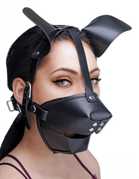 Puppy Play Hood and Breathable Ball Gag