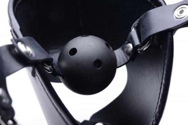 Puppy Play Hood and Breathable Ball Gag